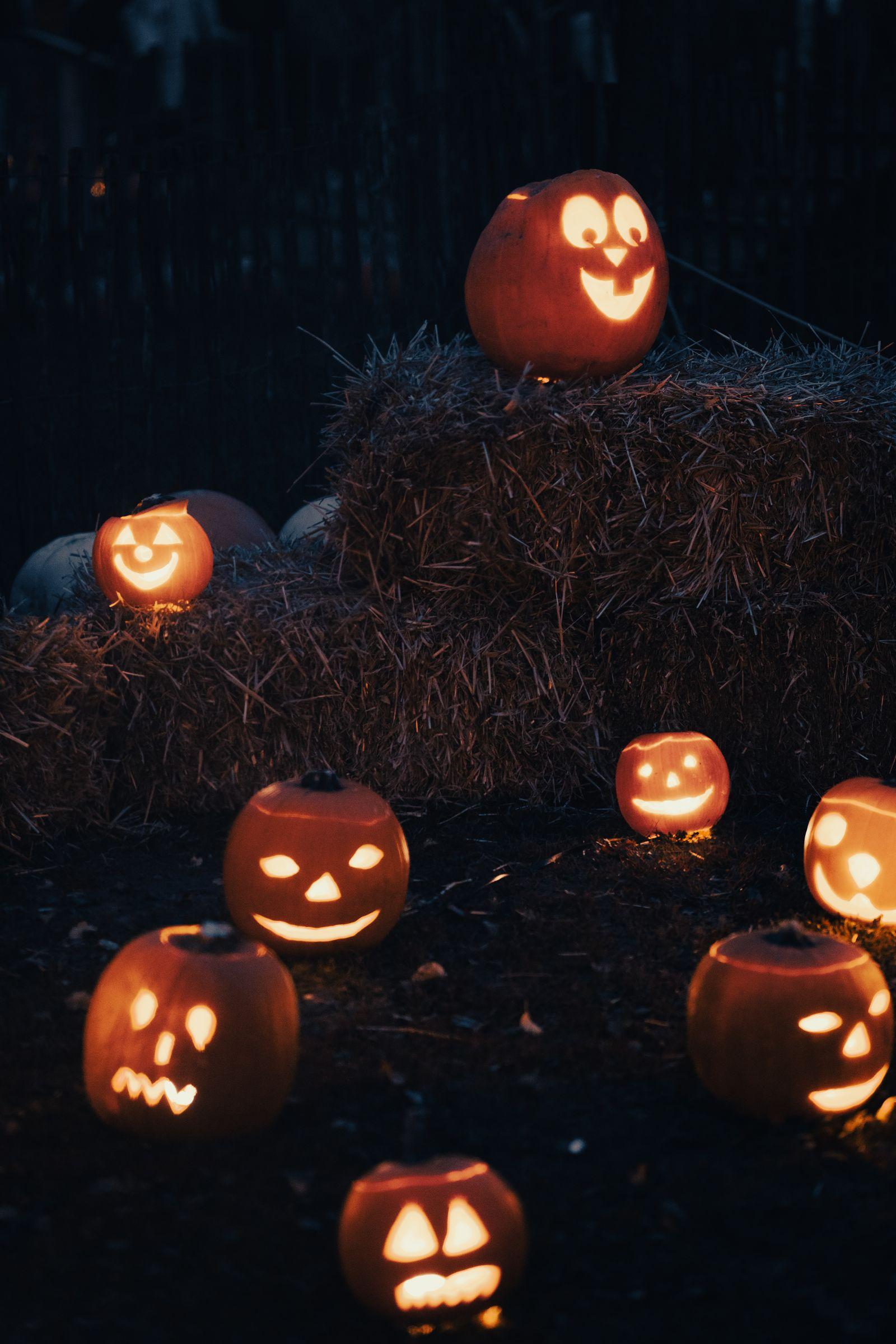 Zucca Lanterna